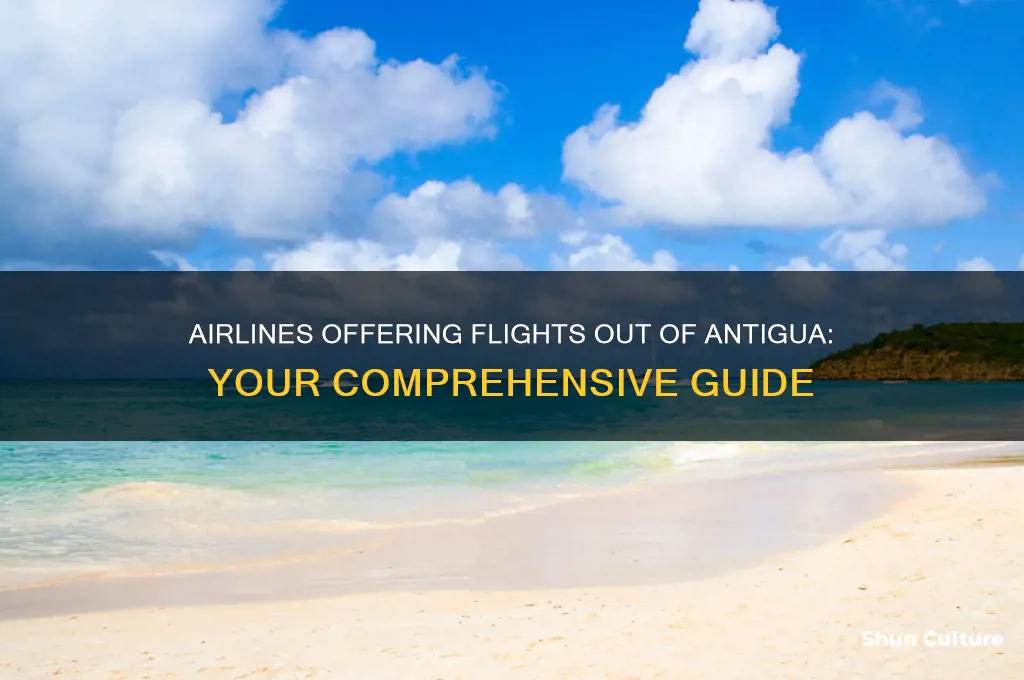 what airlines gly out of antigua