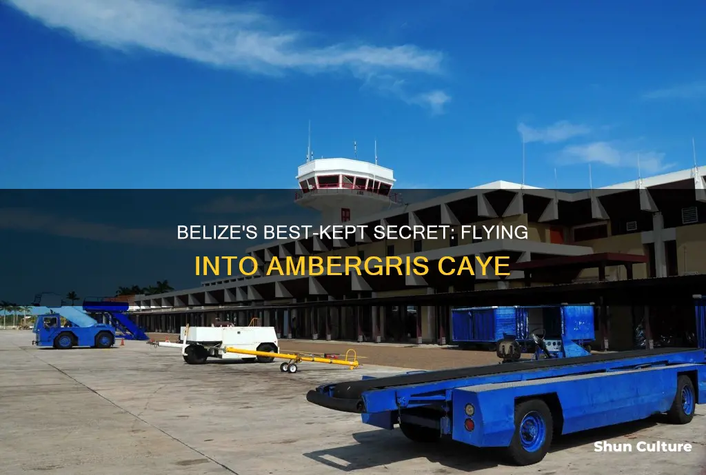 what airport do you fly into for ambergris caye belize