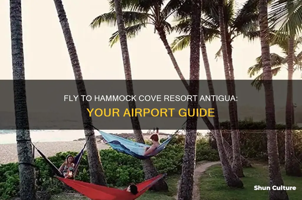 what airport do you fly to hammokc cove resort antigua