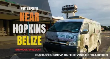 Belize's Hopkins Airport: Gateway to Paradise