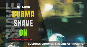Exploring the Musical Legacy: Which Album Features Burma Shave?