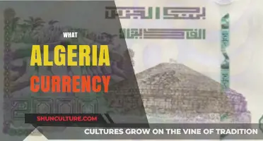Understanding Algeria's Currency: The Algerian Dinar Explained Simply
