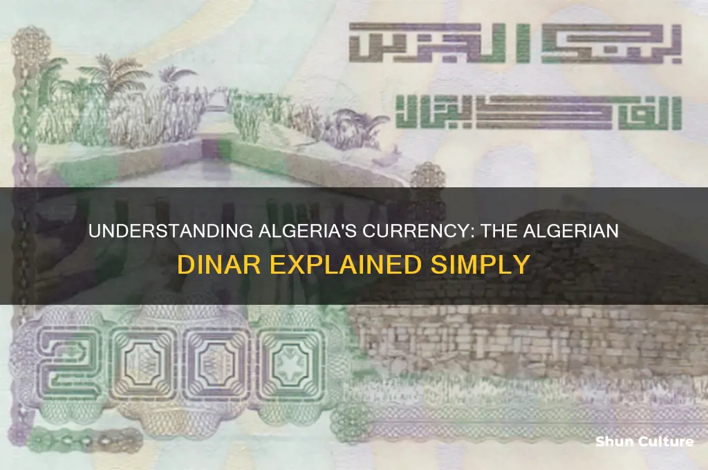 what algeria currency