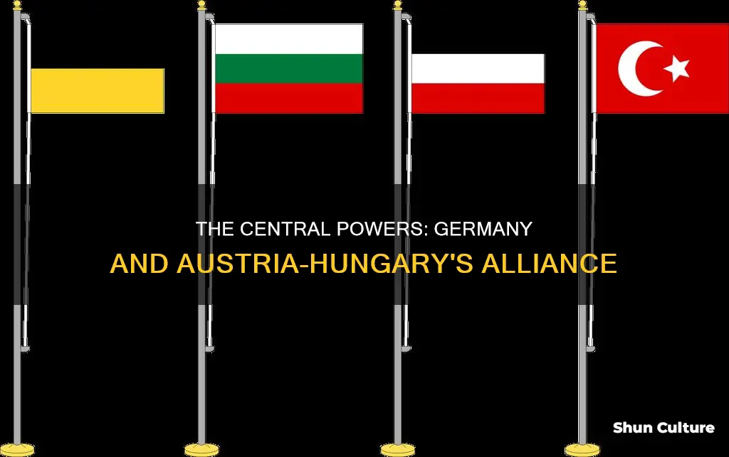 what alliance did germany and austria-hungary