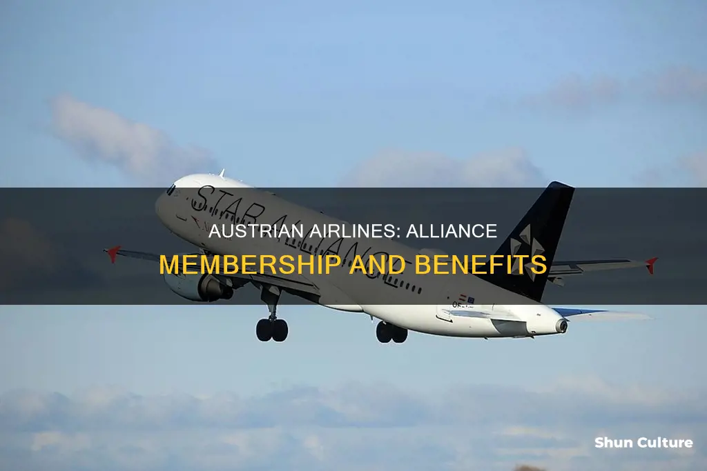 what alliance is austrian airlines in