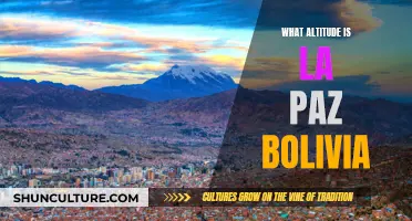 La Paz, Bolivia: Exploring Life at High Altitudes