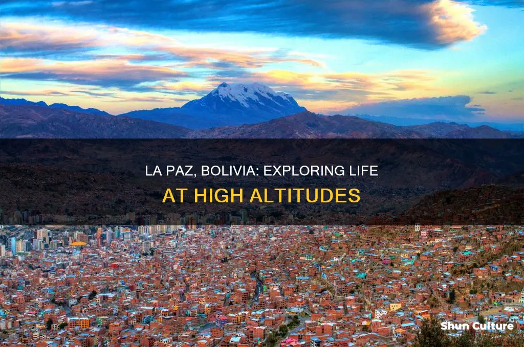 what altitude is la paz bolivia