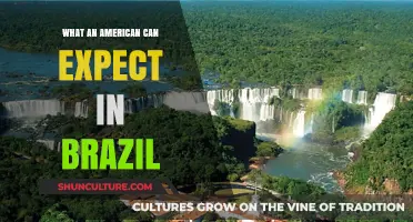 Exploring Brazil: Cultural Insights and Travel Tips for Americans