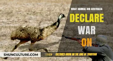 Australia's War on Emus: A Bizarre Battle