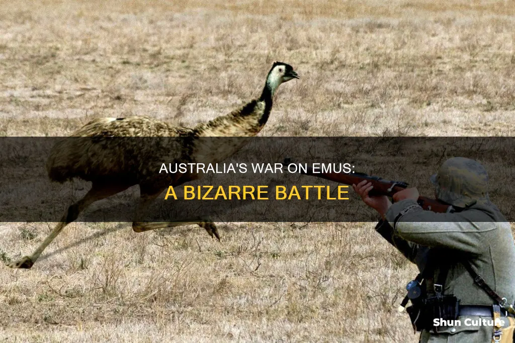 what animal did australia declare war on