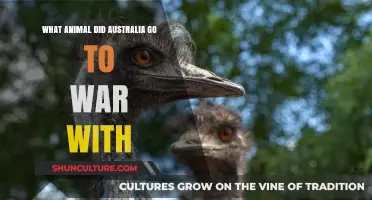 Australia's Bizarre War: The Battle Against the Emu Army