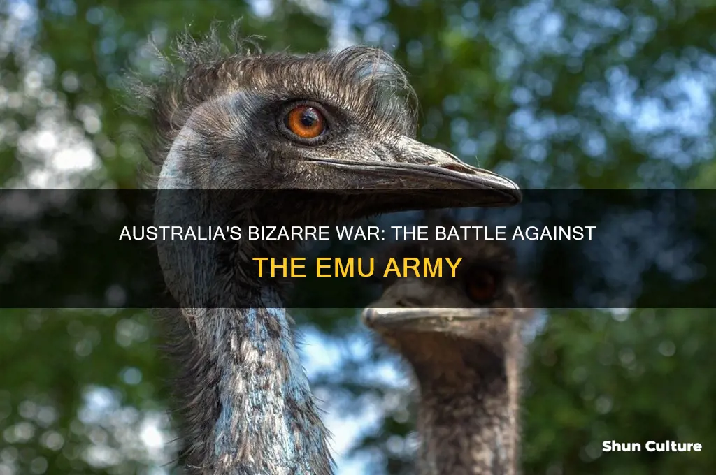 what animal did australia go to war with