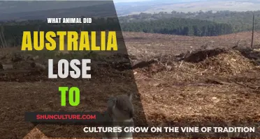 The Battle Against Invasive Species in Australia