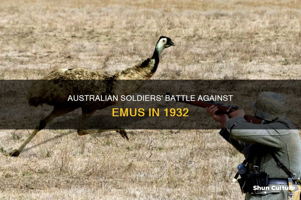 what animal did australian soldiers fight in 1932