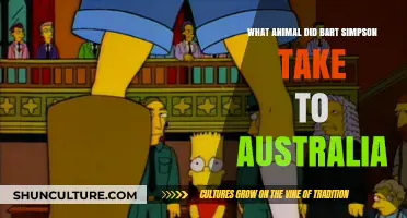 Bart Simpson's Australian Adventure with a Pet Kangaroos