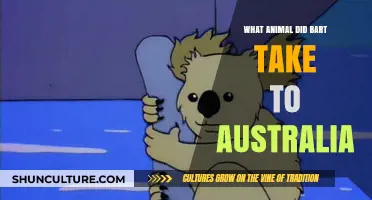 Bart's Australian Adventure: A Wild Companion