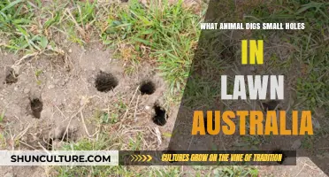 Lawn Holes: Who's Digging and How to Stop Them