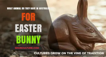 Easter Bunny Down Under: Australia's Unique Animal Tradition