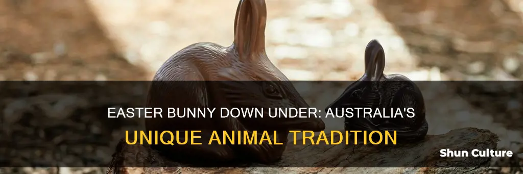 what animal do they have in australia for easter bunny