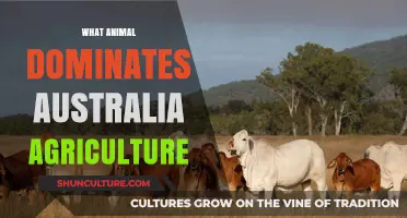 Kangaroos: Australia's Agricultural Adversaries and Icons
