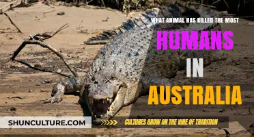 Deadly Australian Animals: Killers Unveiled