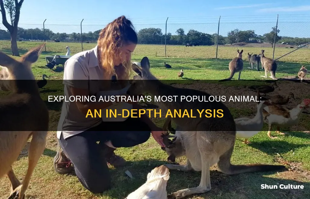 what animal has the biggest population in australia