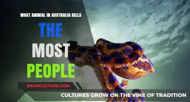 Deadly Australian Animals: The Surprising Killers