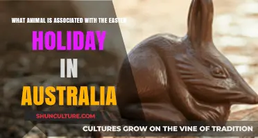 Australia's Easter Animal: The Bilby