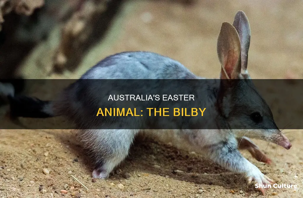 what animal is associated with the easter holiday in australia