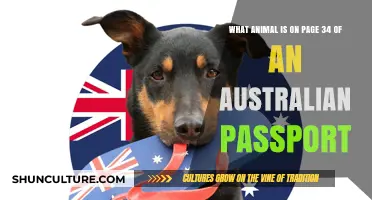 Australian Passport: Animal Mystery on Page 34