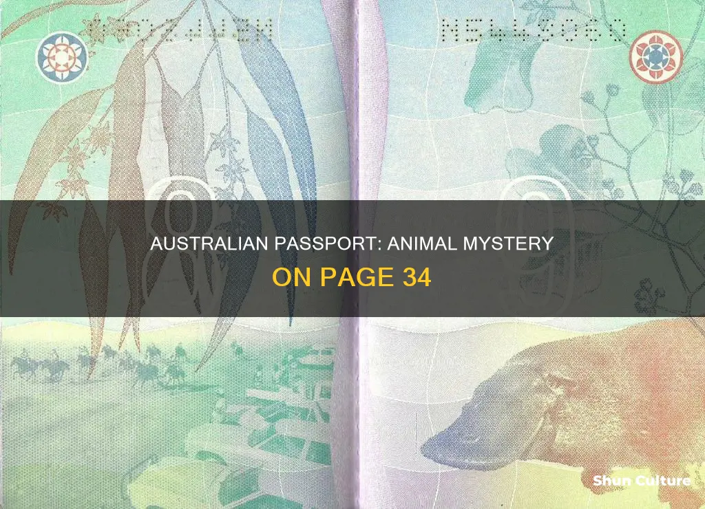 what animal is on page 34 of an australian passport