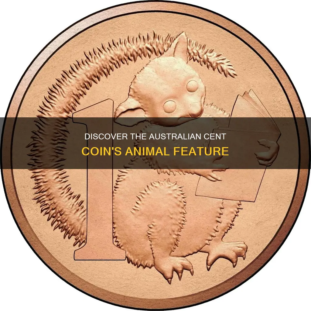 what animal is on the australian 1 cent coin
