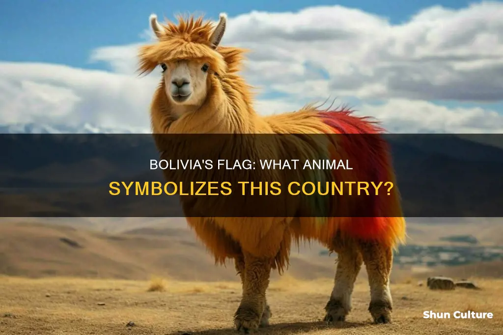 what animal is on the bolivian flag