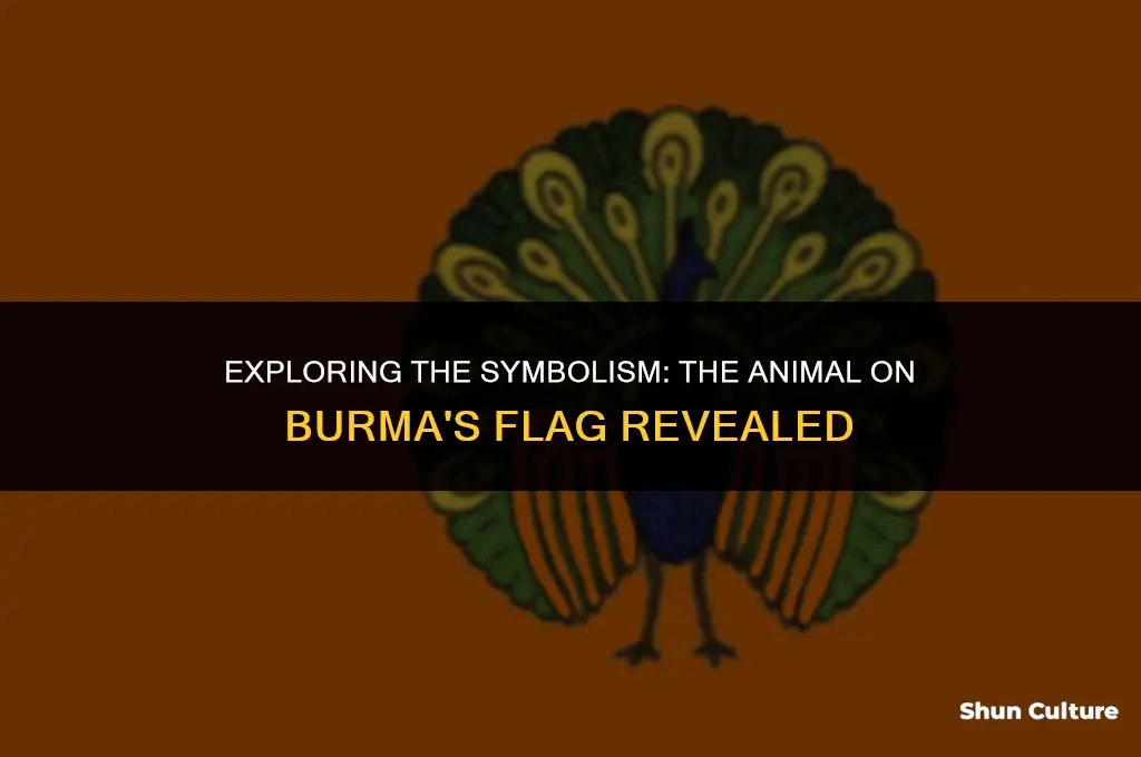what animal is on the flag of burma