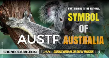 The Australian Emblem: A Unique Animal Symbol