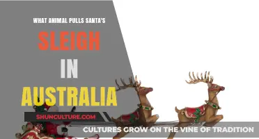 Santa's Sleigh: Aussie Animal Style