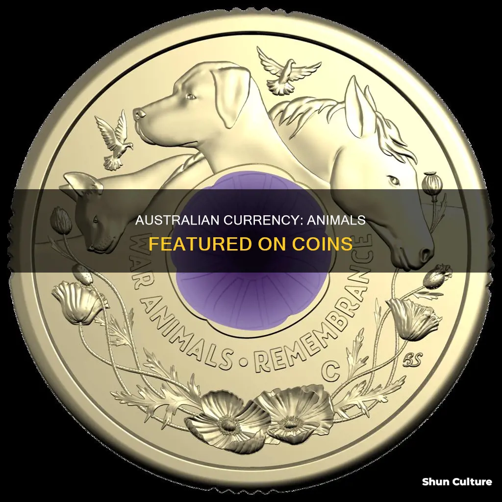 what animals appear on australian coins