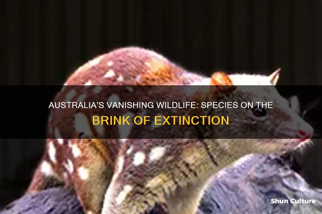 what animals are going extinct in australia