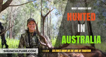 Hunting in Australia: Which Animals Are the Targets?