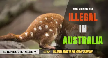 Strange Animal Bans in Australia: A Comprehensive List