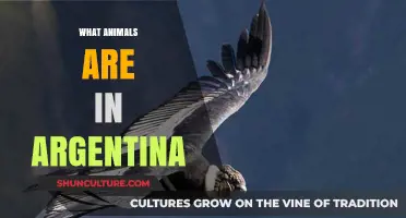 Exploring Argentina's Wildlife: A Guide to Native Animals