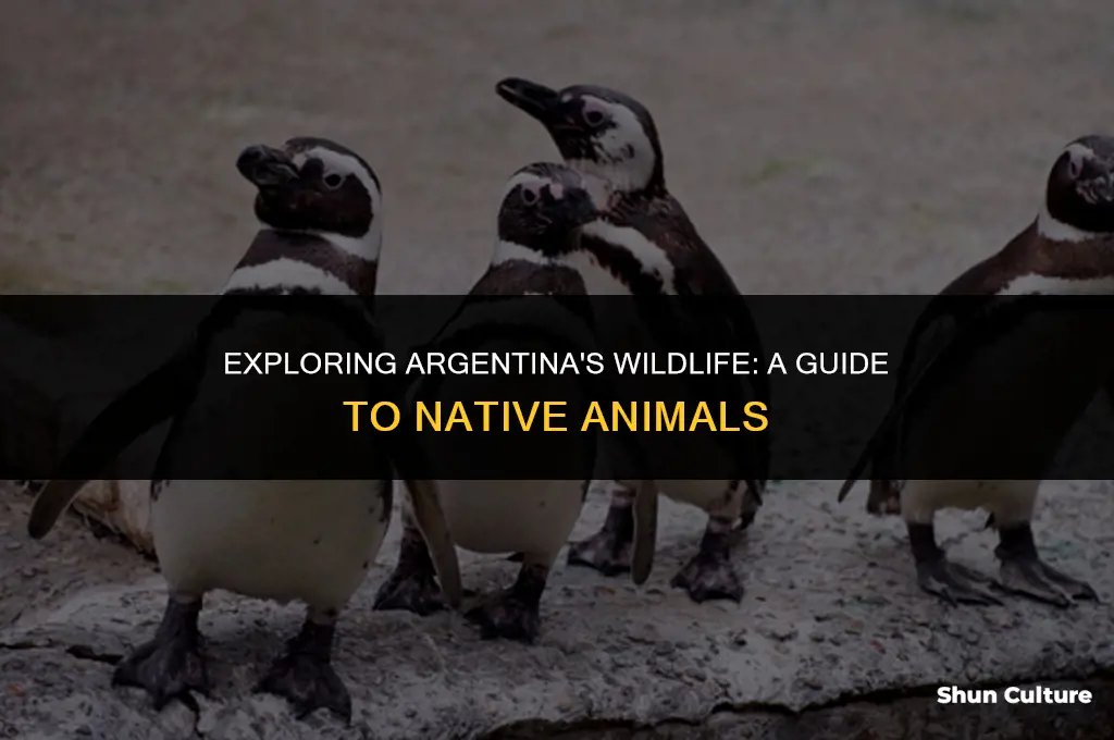 what animals are in argentina