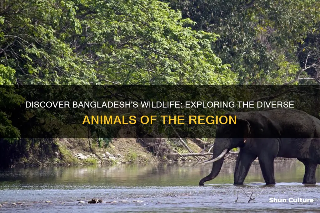 what animals are in bangladesh