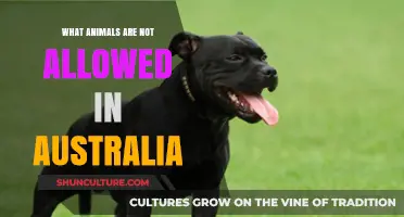Unwelcome Guests: Animals Banned in Australia