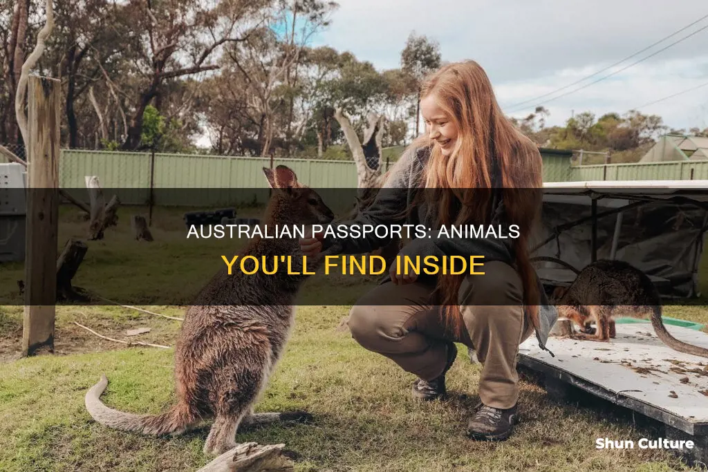 what animals are on the australian passport