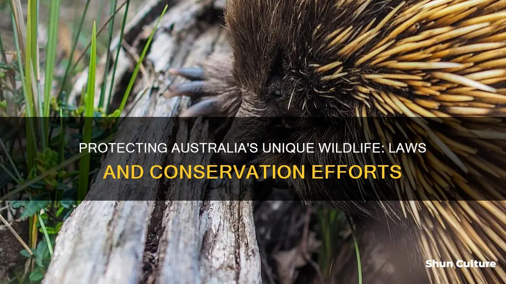 what animals are protected in australia