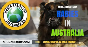 Rabies Carriers in Australia: Animal Threats