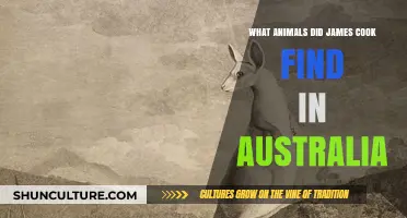 James Cook's Australian Wildlife Discoveries