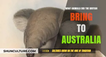 British Animal Imports: Australia's Unwanted Guests