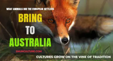 European Settlers: Animals Imported to Australia